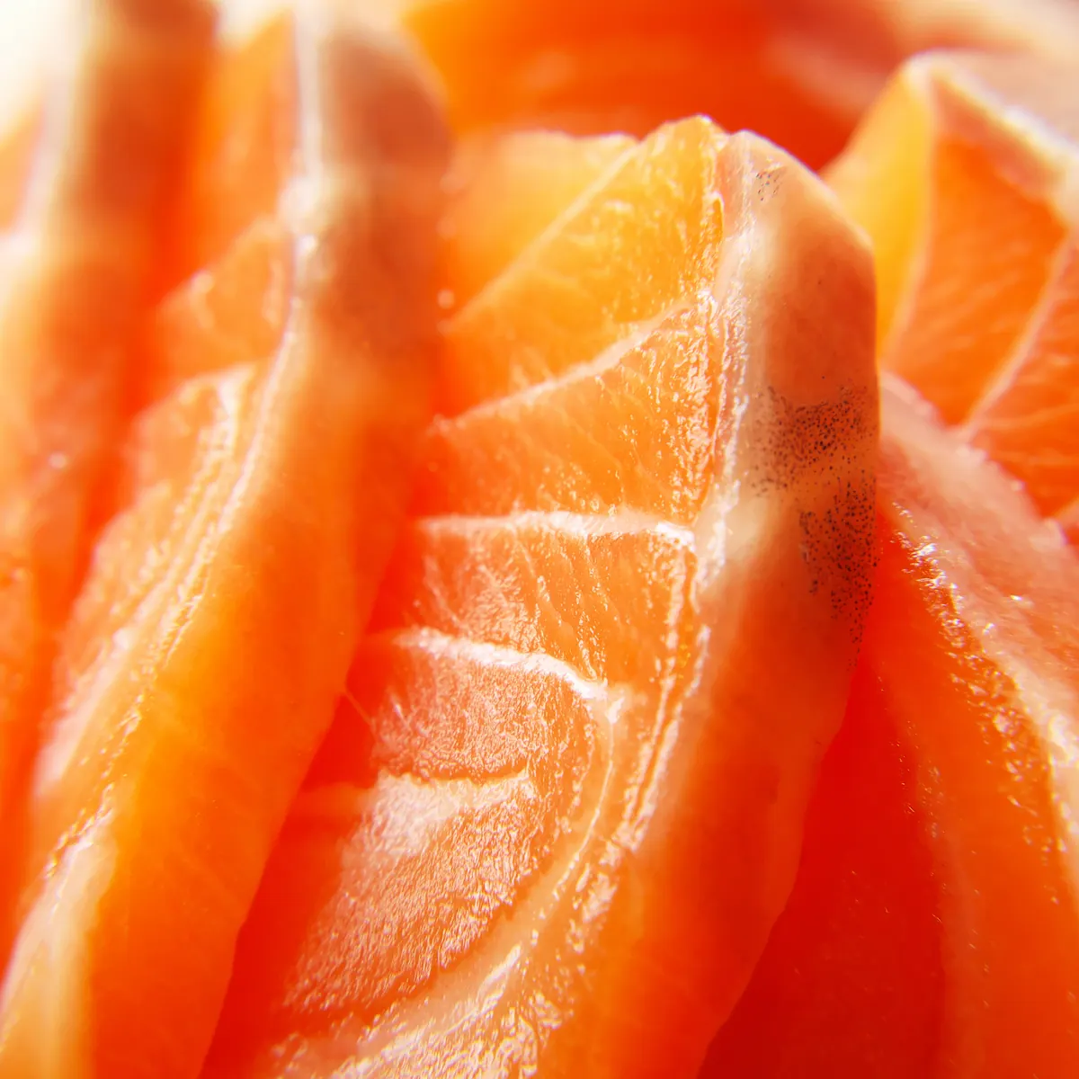 Sliced salmon sashimi, close up